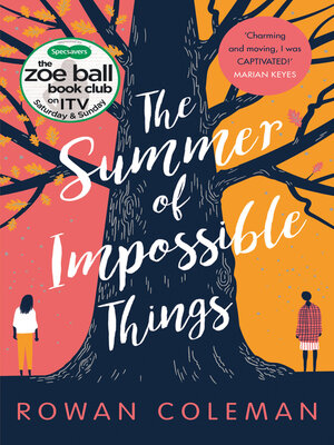 cover image of The Summer of Impossible Things
